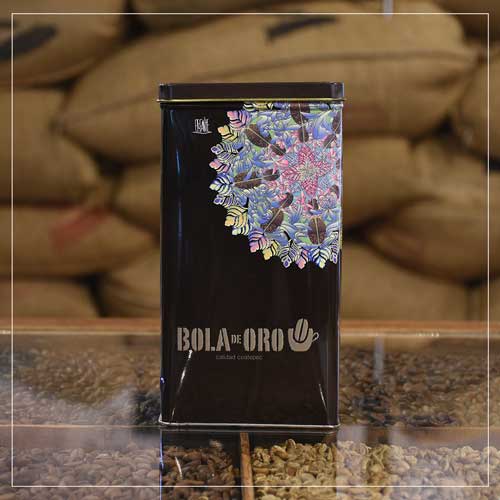 Bola-de-Oro-Cosecha-Especial-2016-2