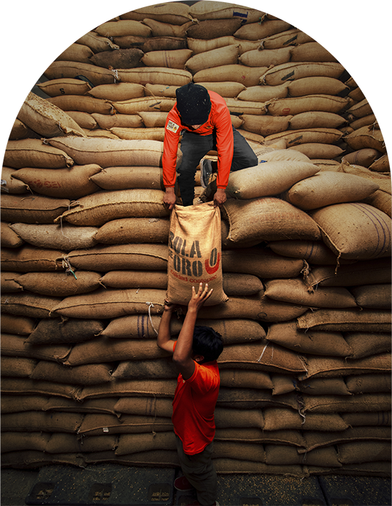 Cafe-Bola-de-Oro-intro-1