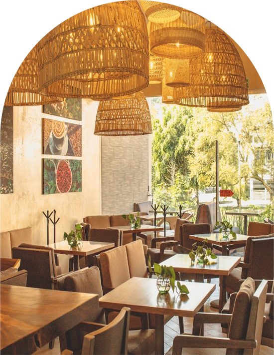 Cafe-Bola-de-Oro-intro-3