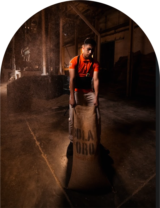 Cafe-Bola-de-Oro-intro-5