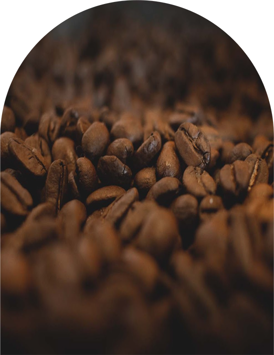 Cafe-Bola-de-Oro-intro-8