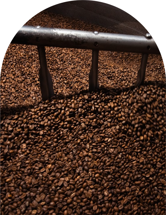 Cafe-Bola-de-Oro-intro-9